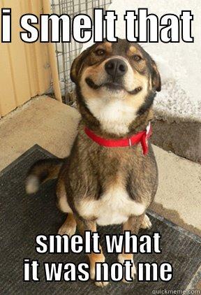 I SMELT THAT  SMELT WHAT IT WAS NOT ME Good Dog Greg