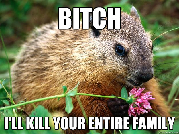 Bitch i'll kill your entire family  