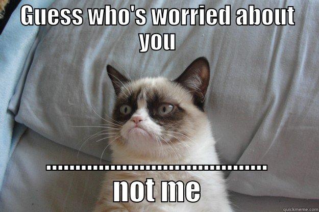 GUESS WHO'S WORRIED ABOUT YOU ...................................... NOT ME Grumpy Cat