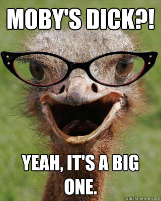 MOBY'S DICK?! Yeah, it's a big one. - MOBY'S DICK?! Yeah, it's a big one.  Judgmental Bookseller Ostrich