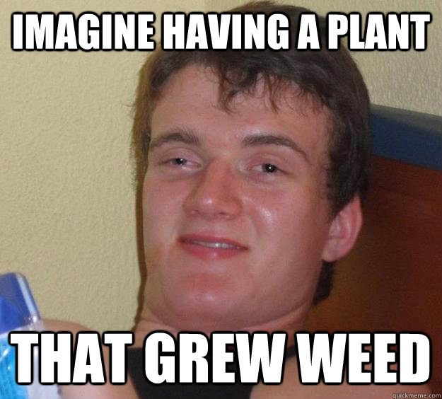 Imagine having a plant that grew weed - Imagine having a plant that grew weed  10 Guy