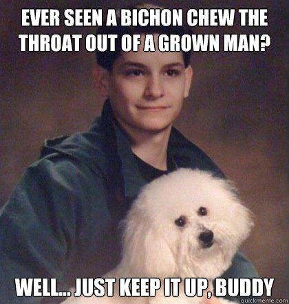 ever seen a bichon chew the throat out of a grown man? well... just keep it up, buddy  