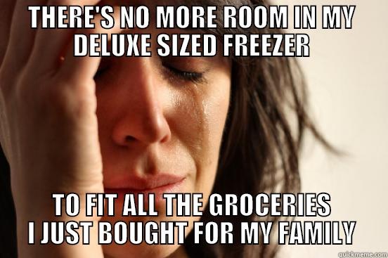 THERE'S NO MORE ROOM IN MY DELUXE SIZED FREEZER TO FIT ALL THE GROCERIES I JUST BOUGHT FOR MY FAMILY First World Problems