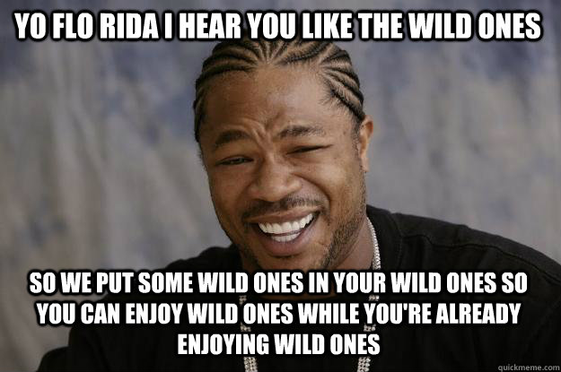 YO FLO RIDA I HEAR YOU LIKE THE WILD ONES SO WE PUT SOME WILD ONES IN YOUR WILD ONES SO YOU CAN ENJOY WILD ONES WHILE YOU'RE ALREADY ENJOYING WILD ONES  Xzibit meme