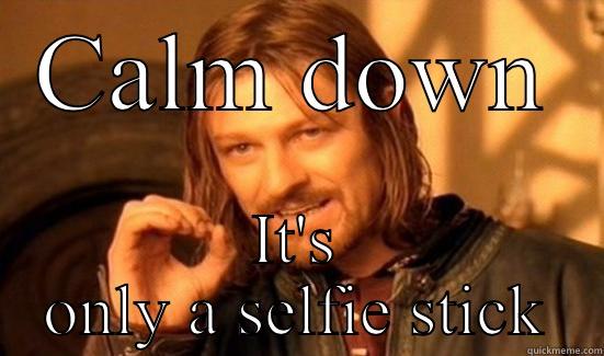 CALM DOWN IT'S ONLY A SELFIE STICK Boromir