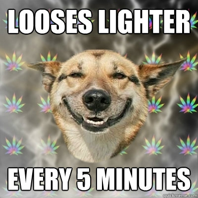 looses lighter every 5 minutes  Stoner Dog