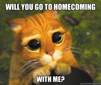 will you go to homecoming with me?  Puss in boots