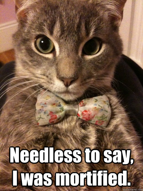  Needless to say,   I was mortified.  Fancy Cat
