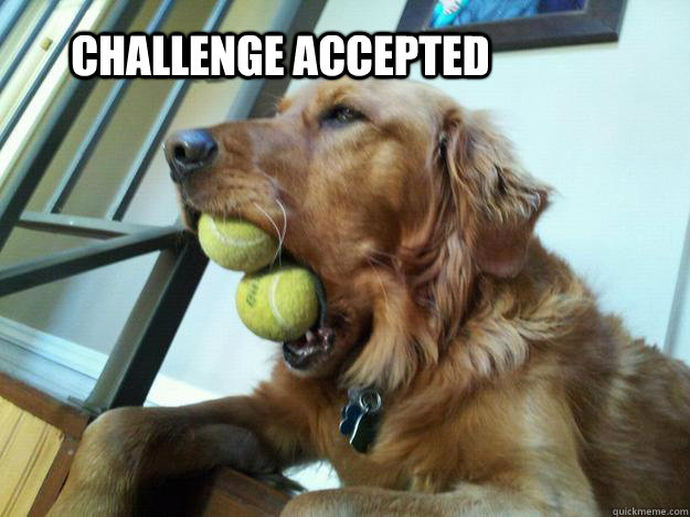  challenge accepted  Challenge Accepted