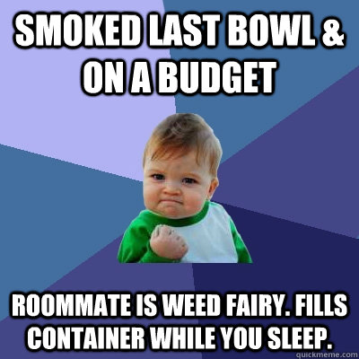 Smoked last bowl & on a budget Roommate is Weed Fairy. Fills container while you sleep.  Success Kid