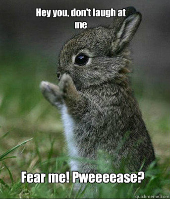 Fear me! Pweeeease? Hey you, don't laugh at me - Fear me! Pweeeease? Hey you, don't laugh at me  Cute bunny