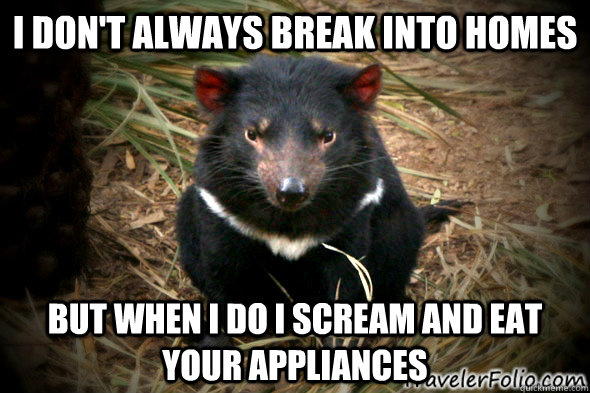 I don't always break into homes but when I do I scream and eat your appliances  Tasmanian Devil Meme