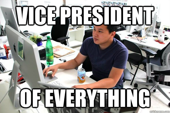 VICE PRESIDENT OF EVERYTHING  