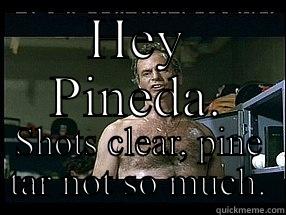 HEY PINEDA. SHOTS CLEAR, PINE TAR NOT SO MUCH. Misc