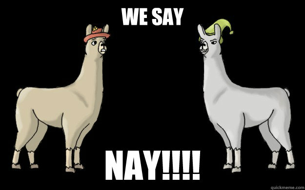 WE SAY NAY!!!!  Carl the Llama