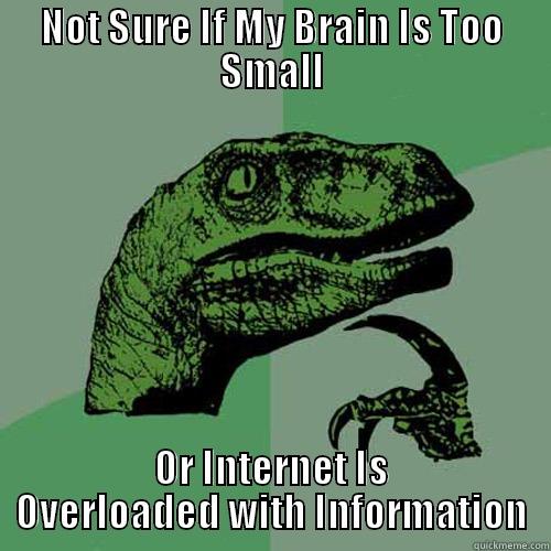 NOT SURE IF MY BRAIN IS TOO SMALL OR INTERNET IS OVERLOADED WITH INFORMATION Philosoraptor