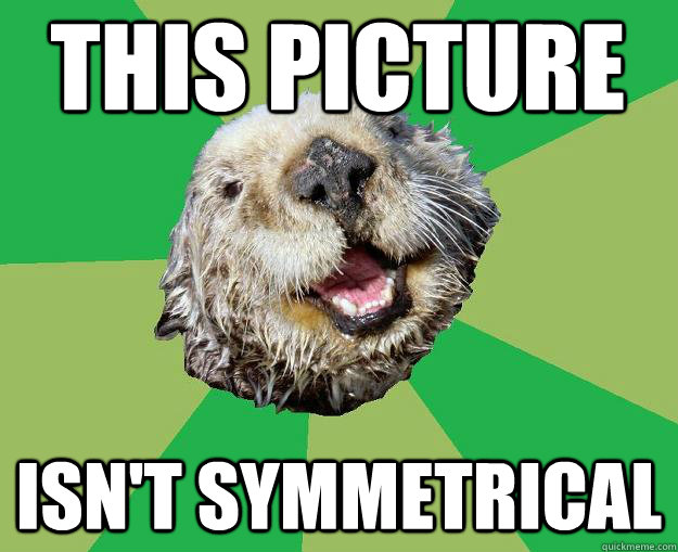 This picture isn't symmetrical  OCD Otter