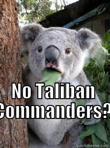  NO TALIBAN COMMANDERS? Misc