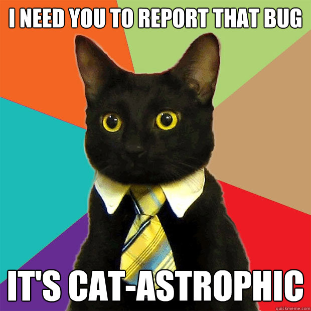 I need you to report that bug It's cat-astrophic  Business Cat