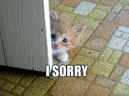  I Sorry  -  I Sorry   Sorry Cat