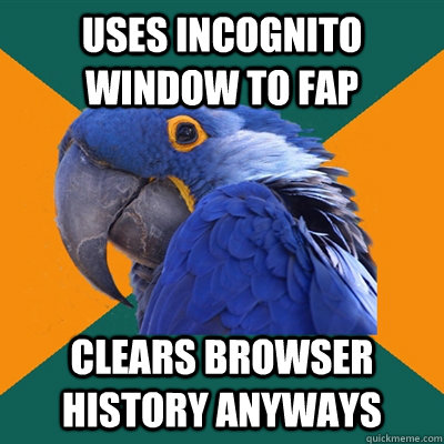 Uses incognito window to fap clears browser history anyways   Paranoid Parrot