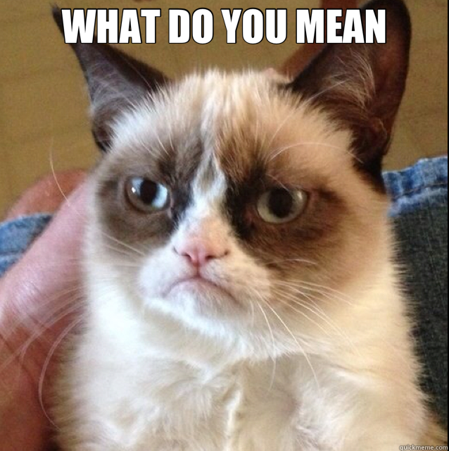 WHAT DO YOU MEAN  - WHAT DO YOU MEAN   Misc