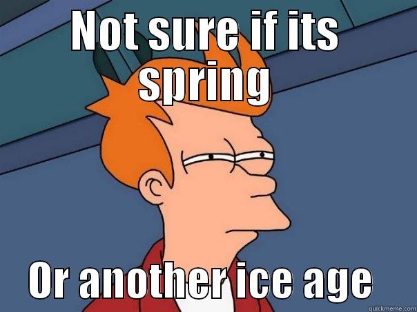 I call BS - NOT SURE IF ITS SPRING     OR ANOTHER ICE AGE     Futurama Fry