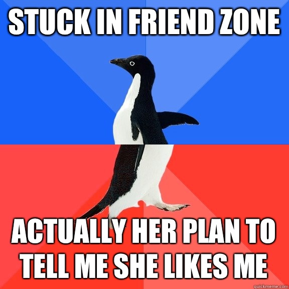 Stuck in friend zone Actually her plan to tell me she likes me  Socially Awkward Awesome Penguin