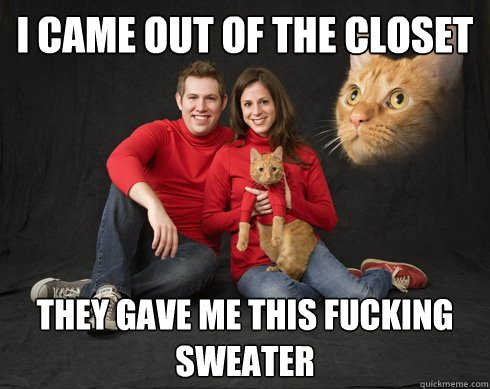 I came out of the closet they gave me this fucking sweater - I came out of the closet they gave me this fucking sweater  Flamboyant Feline