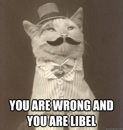  You are wrong and you are libel -  You are wrong and you are libel  Original Business Cat