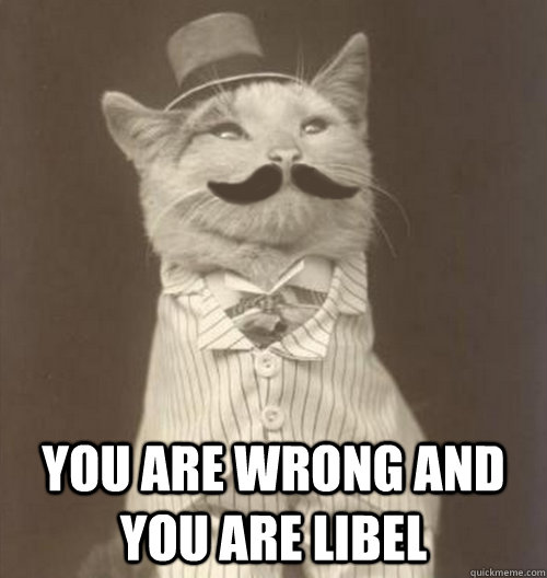  You are wrong and you are libel  Original Business Cat