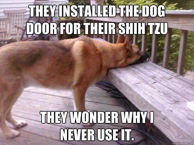 They installed the dog 
door for their Shih Tzu They wonder why I 
never use it.  First World Dog problems