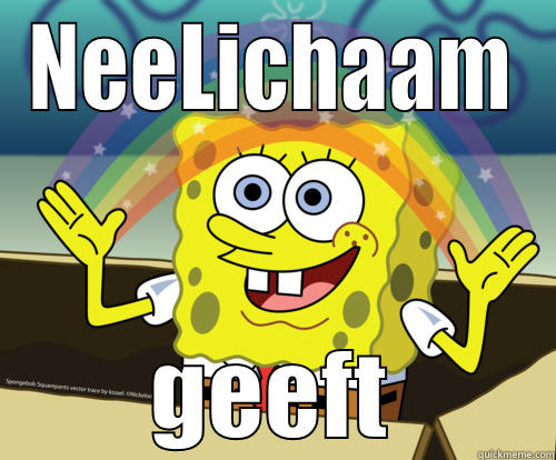 NL Biatch - NEELICHAAM GEEFT Spongebob rainbow