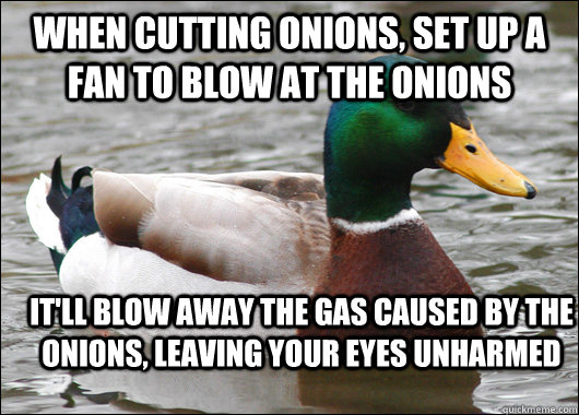 when cutting onions, set up a fan to blow at the onions  it'll blow away the gas caused by the onions, leaving your eyes unharmed  Actual Advice Mallard