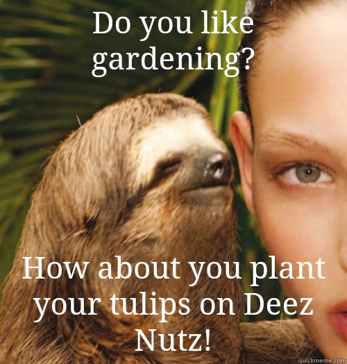 Do you like gardening? How about you plant your tulips on Deez Nutz! - Do you like gardening? How about you plant your tulips on Deez Nutz!  Whispering Sloth
