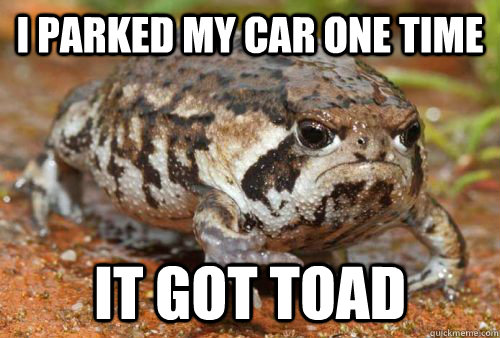 I PARKED MY CAR ONE TIME IT GOT TOAD  