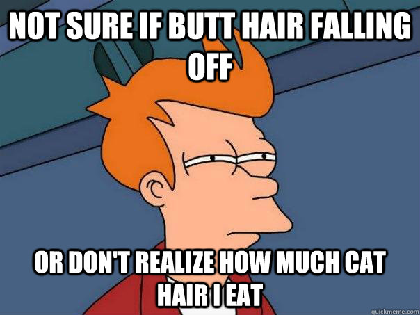 Not sure if butt hair falling off Or don't realize how much cat hair i eat  Futurama Fry