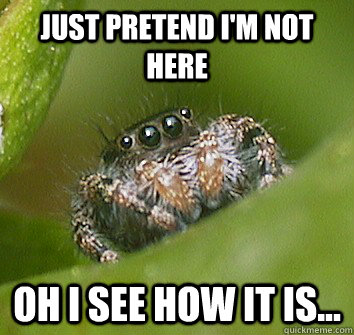 JUST PRETEND I'M NOT HERE OH i see how it is...  Misunderstood Spider