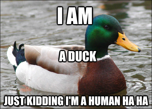 I am just kidding i'm a human ha ha a duck  Actual Advice Mallard