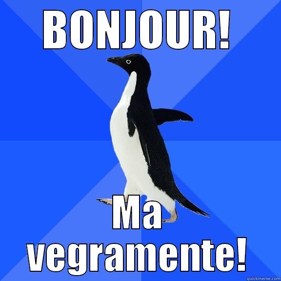 BONJOUR! MA VEGRAMENTE! Socially Awkward Penguin