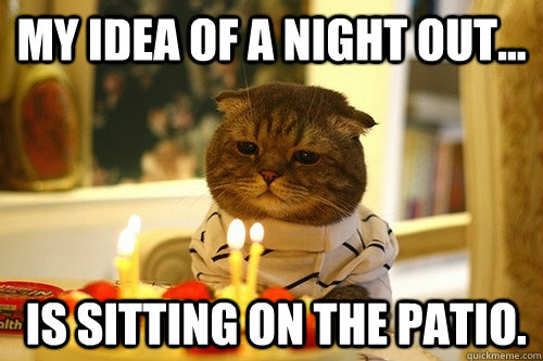 My idea of a night out...  is sitting on the patio. - My idea of a night out...  is sitting on the patio.  Middle Aged Cat
