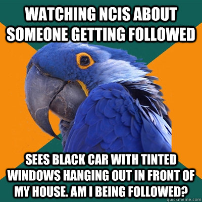 watching ncis about someone getting followed sees black car with tinted windows hanging out in front of my house. am i being followed?  Paranoid Parrot