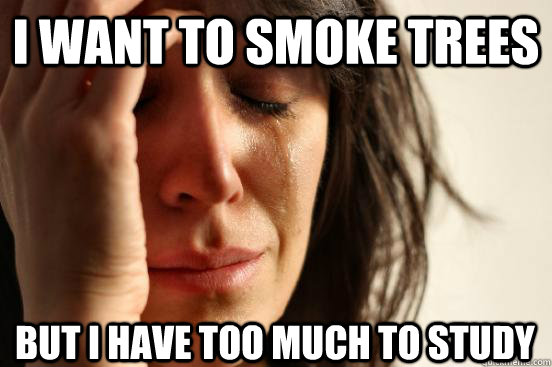 I want to smoke trees but i have too much to study  First World Problems