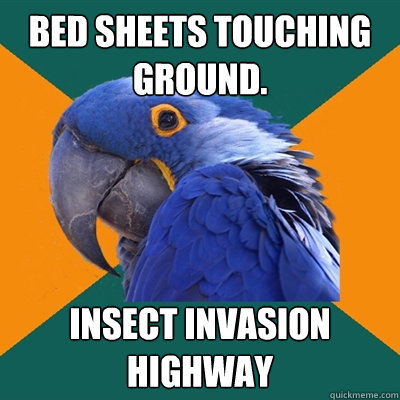 Bed sheets touching ground. Insect Invasion Highway  Paranoid Parrot