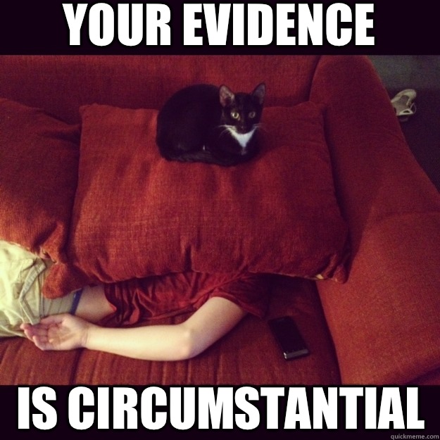 Your evidence is circumstantial - Your evidence is circumstantial  jealous cat