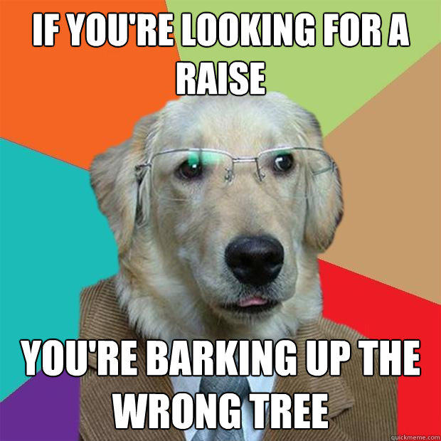 If you're looking for a raise You're barking up the wrong tree  Business Dog