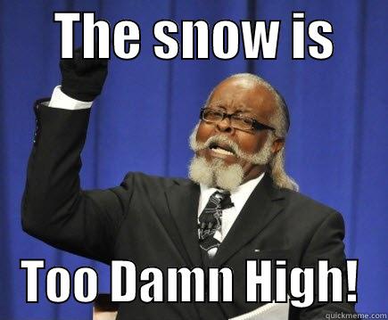 High Jimmy McMillan -      THE SNOW IS         TOO DAMN HIGH!   Too Damn High