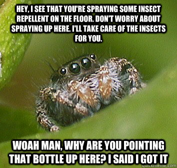 Hey, I see that you're spraying some insect repellent on the floor. Don't worry about spraying up here. I'll take care of the insects for you. Woah man, why are you pointing that bottle up here? I said i got it - Hey, I see that you're spraying some insect repellent on the floor. Don't worry about spraying up here. I'll take care of the insects for you. Woah man, why are you pointing that bottle up here? I said i got it  Misunderstood Spider