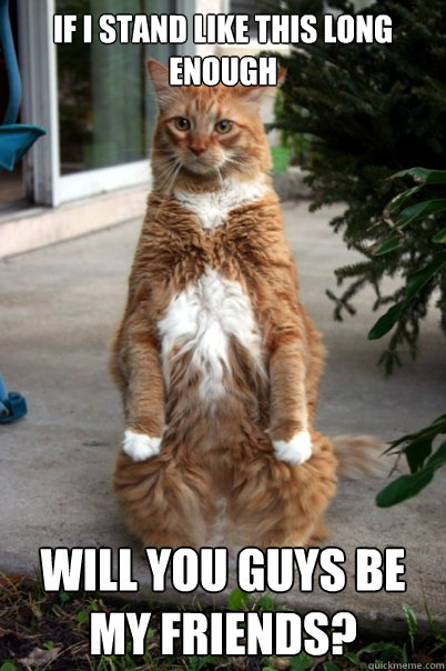 if i stand like this long enough will you guys be my friends? - if i stand like this long enough will you guys be my friends?  Misc