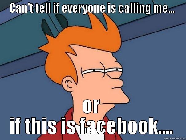 CAN'T TELL IF EVERYONE IS CALLING ME... OR IF THIS IS FACEBOOK.... Futurama Fry